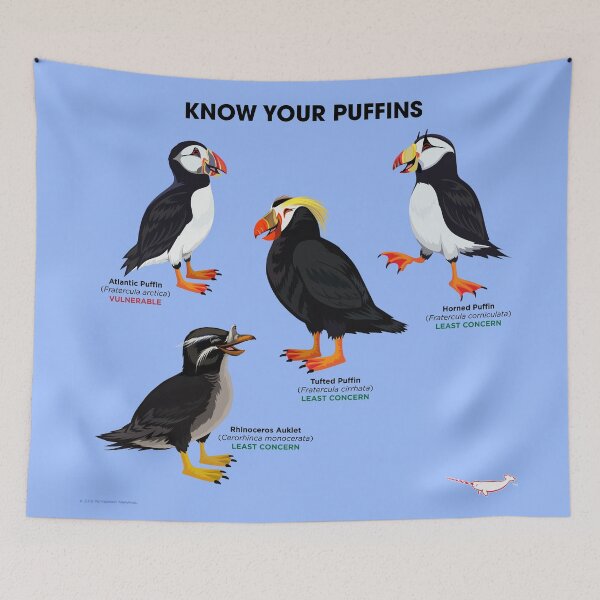 Item preview, Know Your Puffins designed and sold by Peppermint Narwhal.