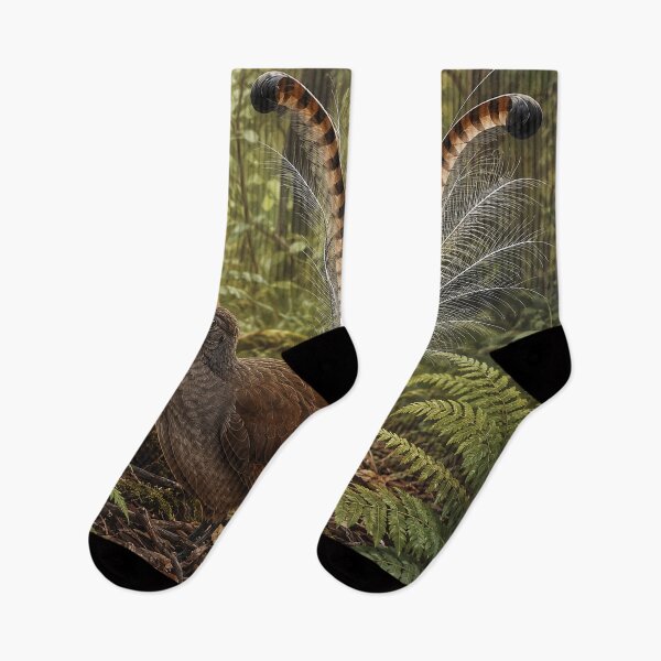 Item preview, Superb Lyrebird Forest Display designed and sold by Pixel Junkies Studio.