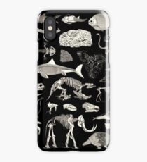 Paleontology Illustration iPhone Case