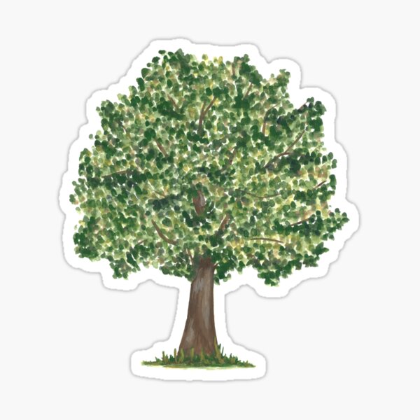 Oak Tree Sticker