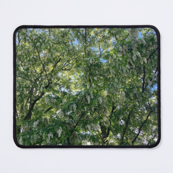 Item preview, Black Locust Tree designed and sold by Amanda1775.
