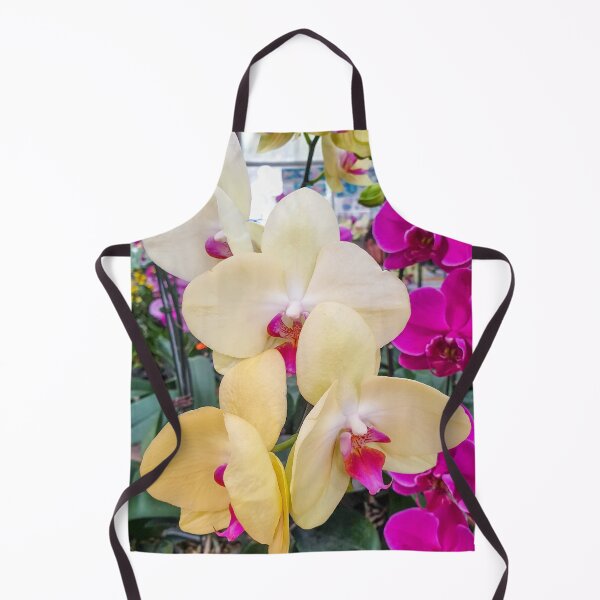 Artikelvorschau, Phalaenopsis-Orchidee mit gelb-rosa Zentrum | Exotische Sonnenuntergangs-Schmetterlingsorchidee (Kunstdruck) entworfen und verkauft von Ross.A.Campbell.