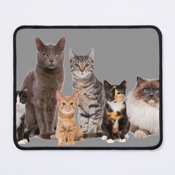 Item preview, Jade's Cat Tee, FROM TV Series Inspired, Cool Cats designed and sold by JDVNart.