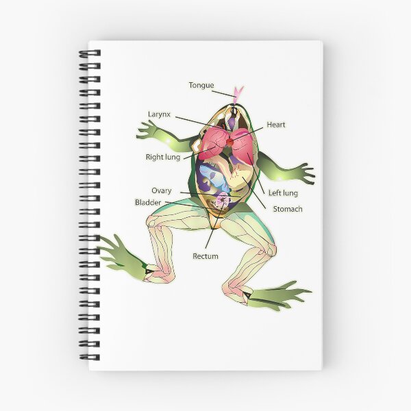 Item preview, The Frog's Anatomy Graphic Design Dark T-Shirt T-Shirt designed and sold by SubStudio97.