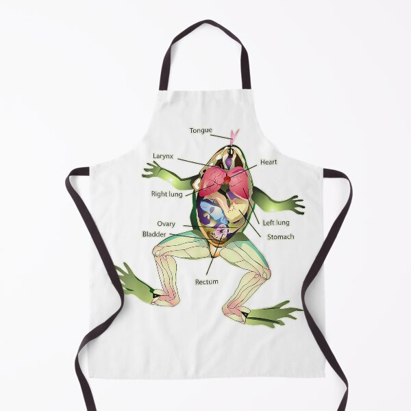 Item preview, The Frog's Anatomy Graphic Design Dark T-Shirt T-Shirt designed and sold by SubStudio97.
