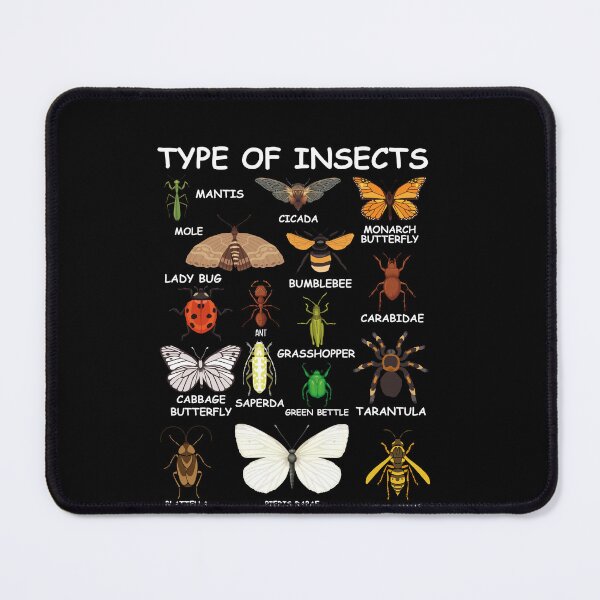 Item preview, Type Of Insects Entomology Insect Identification Bug Lover designed and sold by PopStars1993.