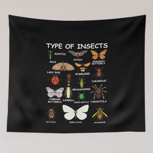Item preview, Type Of Insects Entomology Insect Identification Bug Lover designed and sold by PopStars1993.