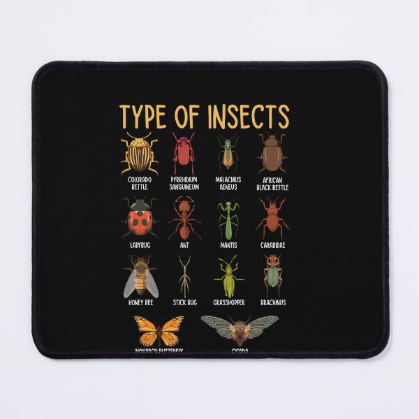 Item preview, Type Of Insects Entomology Bug Lover Nature Education designed and sold by PopStars1993.