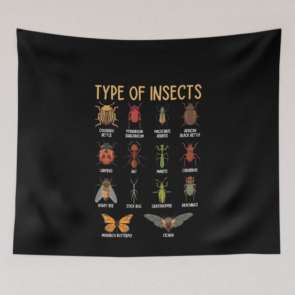 Item preview, Type Of Insects Entomology Bug Lover Nature Education designed and sold by PopStars1993.