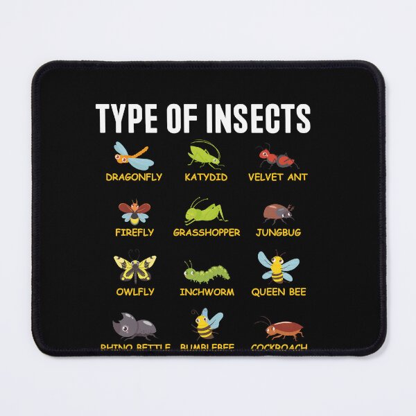 Item preview, Type Of Insects Educational Guide For Entomology Learners And Nature Enthusiasts designed and sold by PopStars1993.