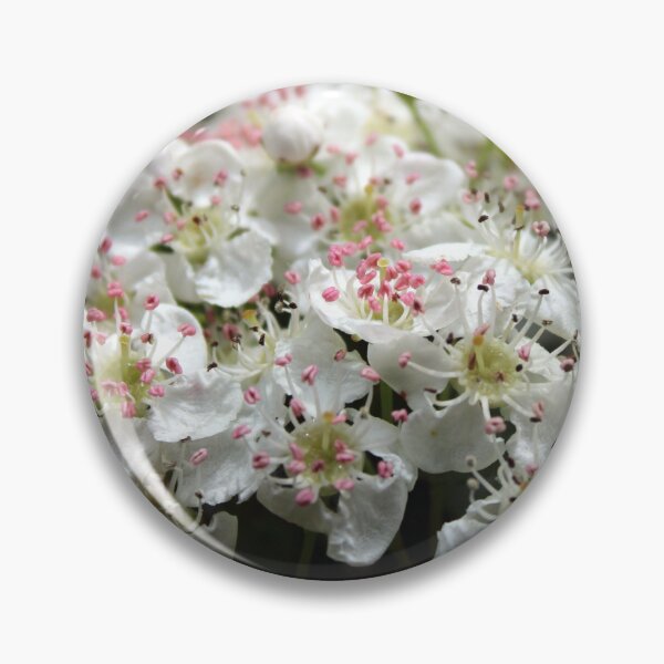 Item preview, blossom designed and sold by KathleenDawson.
