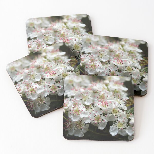 Item preview, blossom designed and sold by KathleenDawson.
