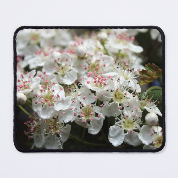 Item preview, blossom designed and sold by KathleenDawson.
