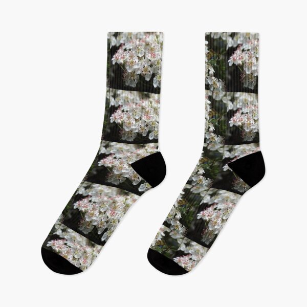 Item preview, blossom designed and sold by KathleenDawson.