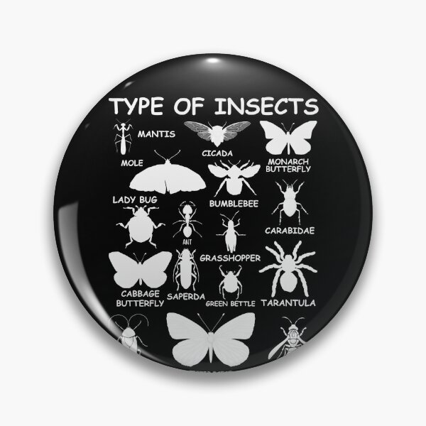 Item preview, Type Of Insects Entomology Identification Chart Bug Lover Science Student designed and sold by PopStars1993.