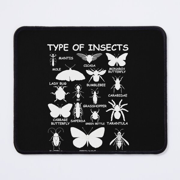 Item preview, Type Of Insects Entomology Identification Chart Bug Lover Science Student designed and sold by PopStars1993.