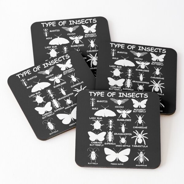 Item preview, Type Of Insects Entomology Identification Chart Bug Lover Science Student designed and sold by PopStars1993.