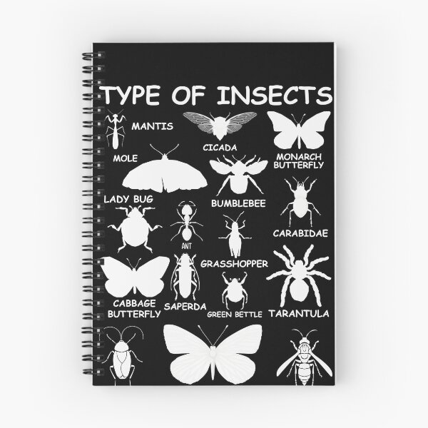 Item preview, Type Of Insects Entomology Identification Chart Bug Lover Science Student designed and sold by PopStars1993.