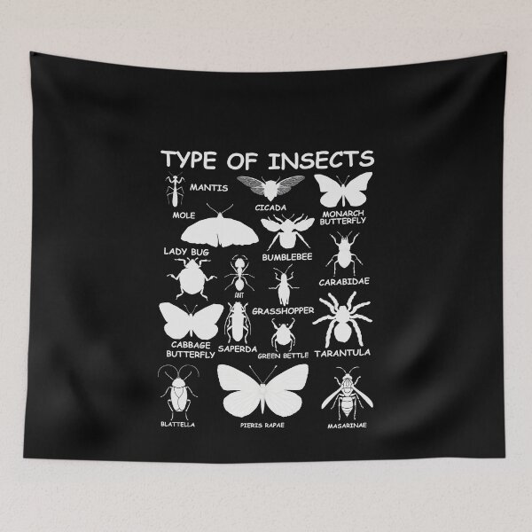 Item preview, Type Of Insects Entomology Identification Chart Bug Lover Science Student designed and sold by PopStars1993.