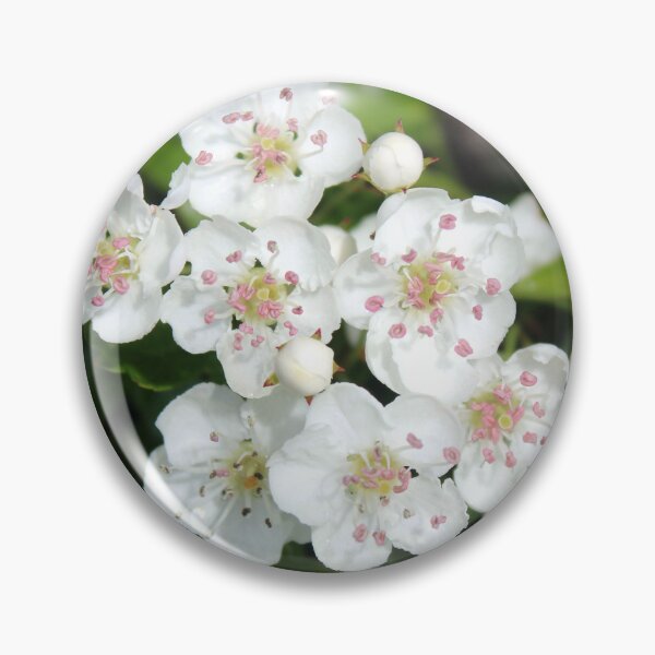 Item preview, blossom designed and sold by KathleenDawson.