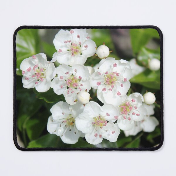 Item preview, blossom designed and sold by KathleenDawson.