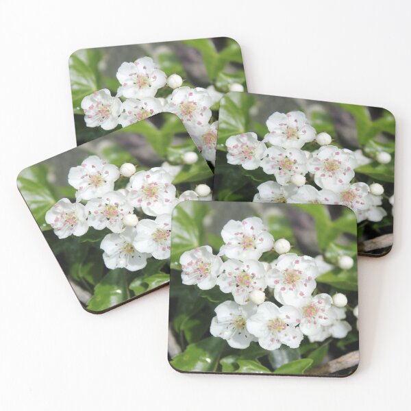 Item preview, blossom designed and sold by KathleenDawson.