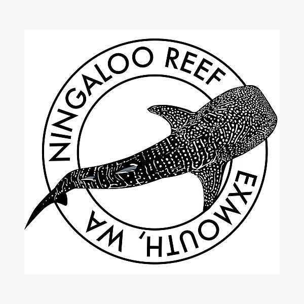 Item preview, Ningaloo Reef Whale Shark - Black designed and sold by SeaLarkArt.