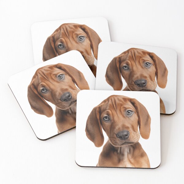 Item preview, Adorable Redbone Coonhound puppy for Cute Redbone puppy lovers designed and sold by LazyOwlStore.