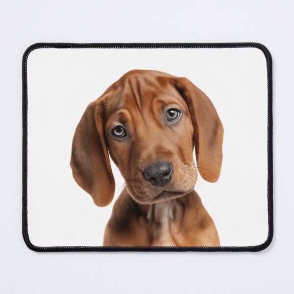 Item preview, Adorable Redbone Coonhound puppy for Cute Redbone puppy lovers designed and sold by LazyOwlStore.