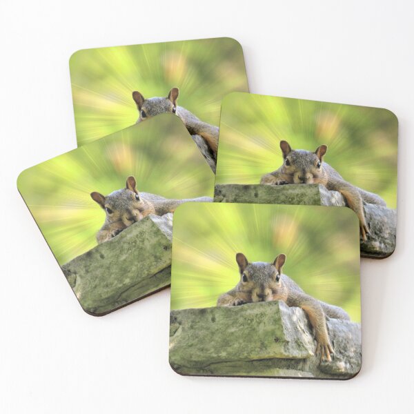 Item preview, Relaxed Squirrel designed and sold by Frankie Cat Photography.
