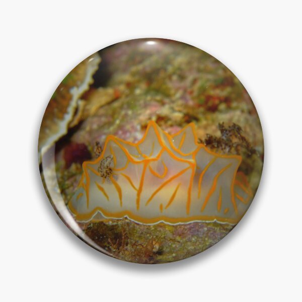 Item preview, Neon Ribbon Nudibranch: Okinawa Deep Sea Art designed and sold by Mayuri Japan Studio.