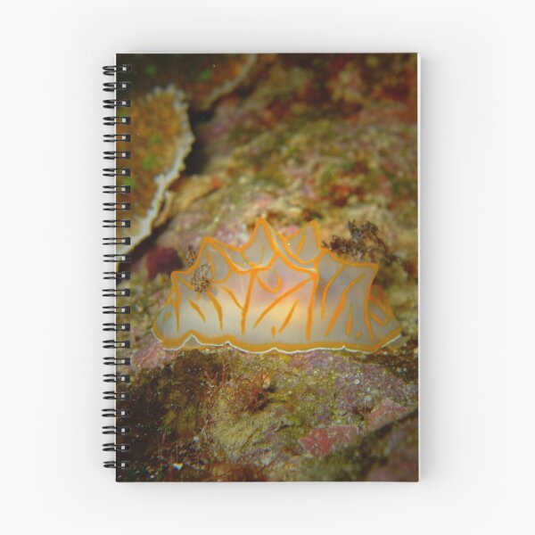 Item preview, Neon Ribbon Nudibranch: Okinawa Deep Sea Art designed and sold by Mayuri Japan Studio.