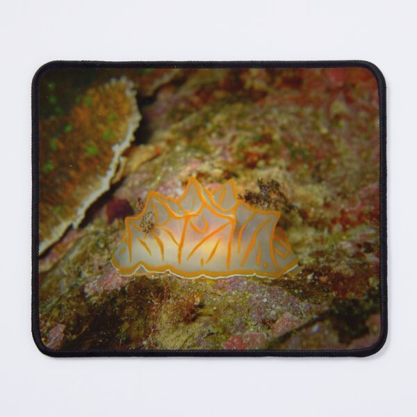 Item preview, Neon Ribbon Nudibranch: Okinawa Deep Sea Art designed and sold by Mayuri Japan Studio.