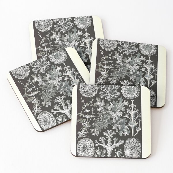 Item preview, Lichen and Moss Drawing | Insect Art designed and sold by GammaRay.