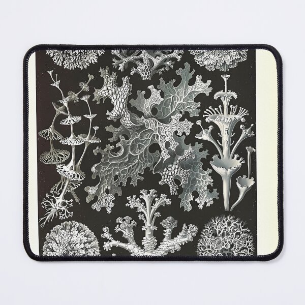 Item preview, Lichen and Moss Drawing | Insect Art designed and sold by GammaRay.
