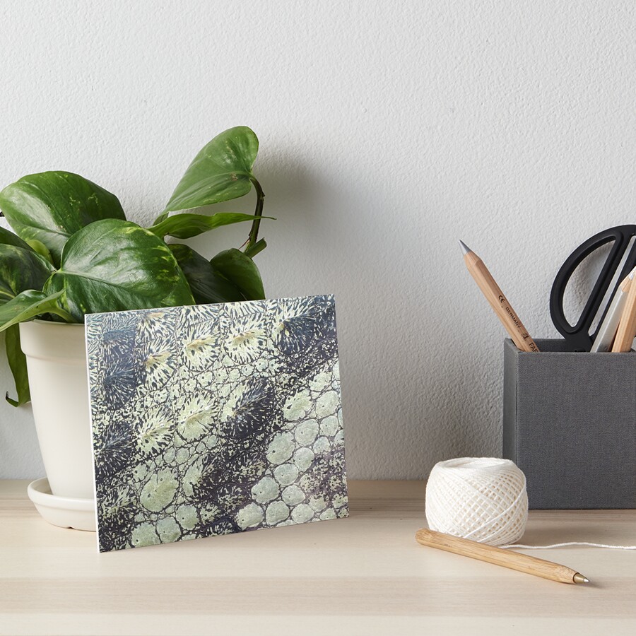 Item preview, Art Board Print designed and sold by NovastormDesign.