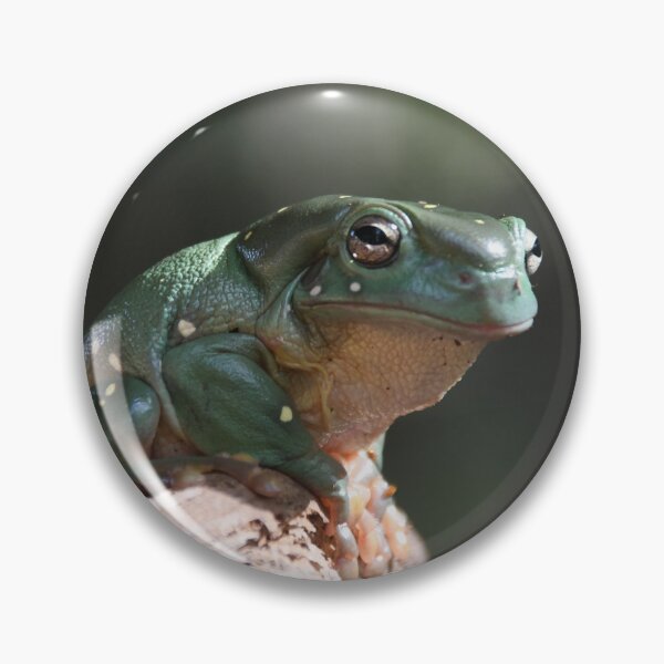 Item preview, Magnificent Tree Frog designed and sold by MKlens.