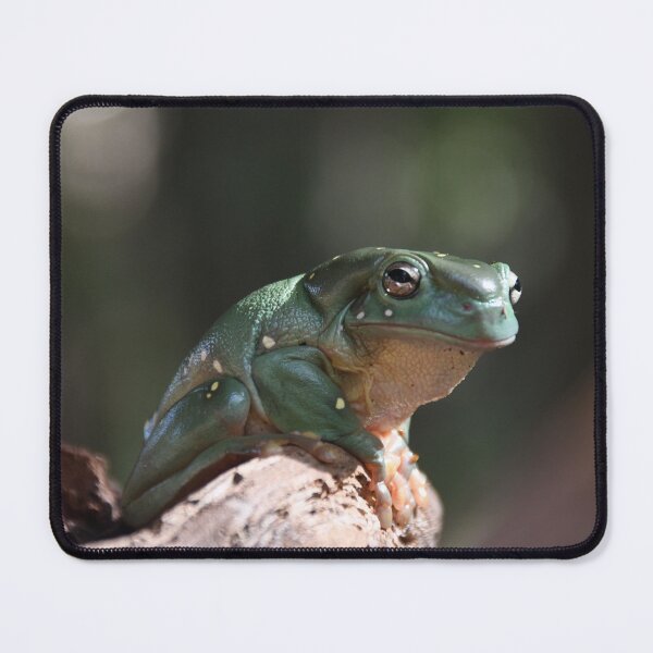 Item preview, Magnificent Tree Frog designed and sold by MKlens.