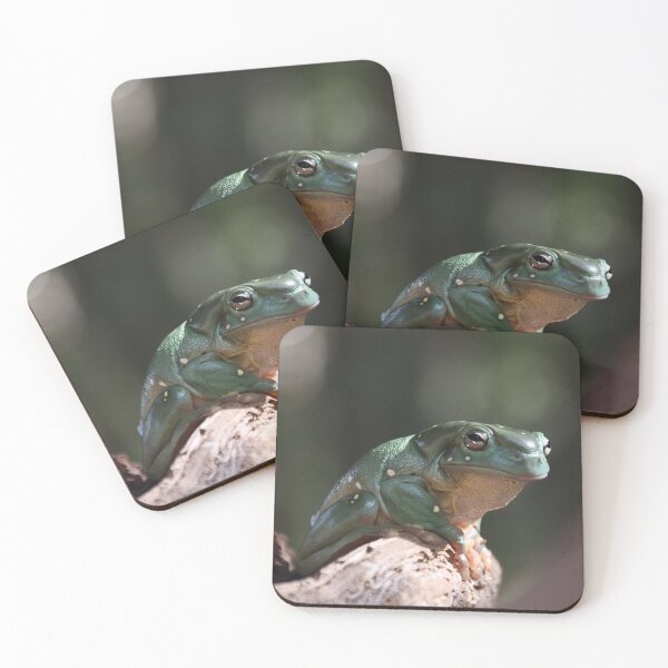 Item preview, Magnificent Tree Frog designed and sold by MKlens.