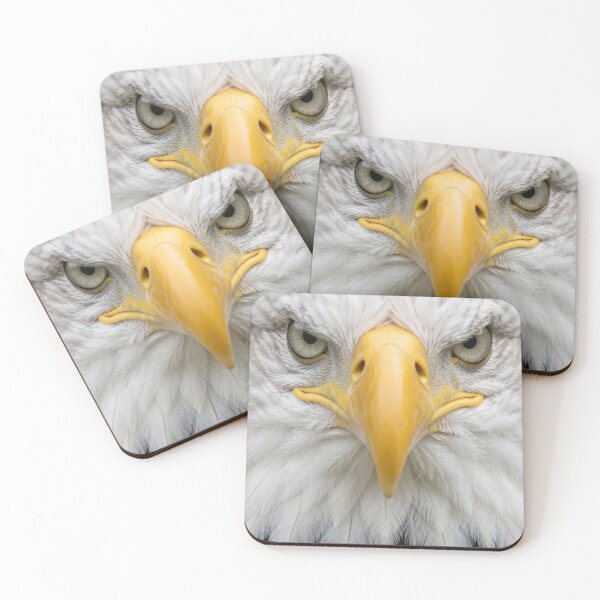 Item preview, Bald Eagle designed and sold by Kirrindy Designs.
