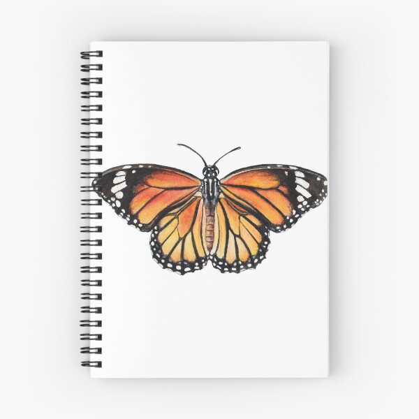 Item preview, Realistic Monarch Butterfly (Danaus plexippus) Illustration, Butterfly Lover Sticker, Nature Aesthetic, Wildlife Art  designed and sold by zephyrstudio26.