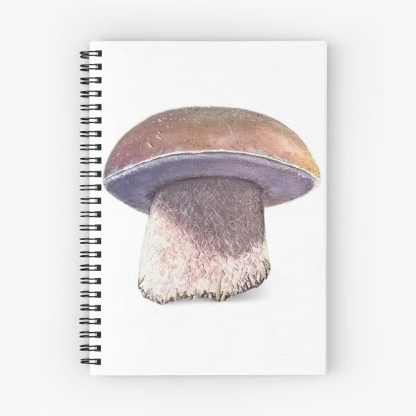 Item preview, Boletus Edulis  designed and sold by Guiarte SMS.