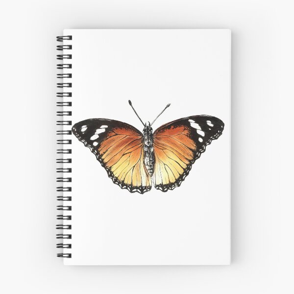 Item preview, Realistic C, Butterfly Lover Sticker, Nature Aesthetic, Wildlife Art  designed and sold by zephyrstudio26.
