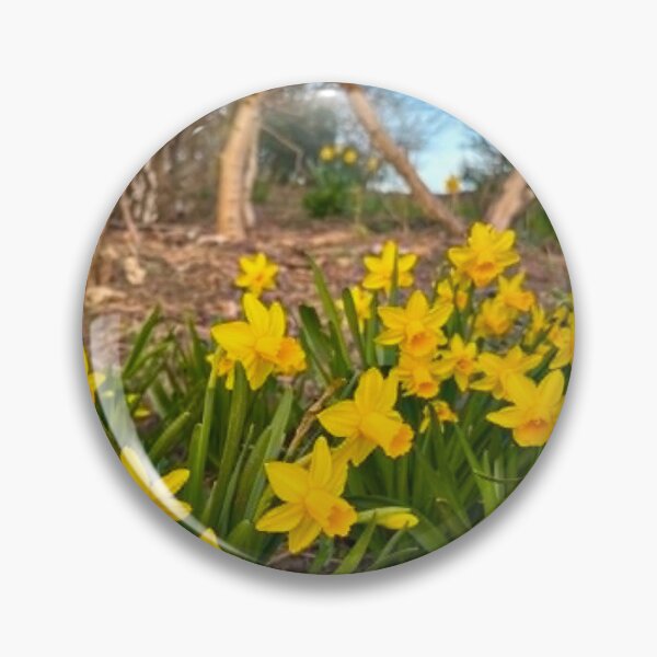 Item preview, Yellow Daffodils In Spring Woodland Surrey England designed and sold by ThatSurreyLife.