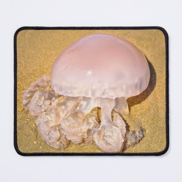 Item preview, bell-shaped jellyfish designed and sold by psychoshadow.