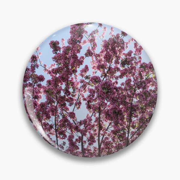 Item preview, Prairifire Crabapple Blossoms Against Clear Blue Sky designed and sold by Georgia Mizuleva.