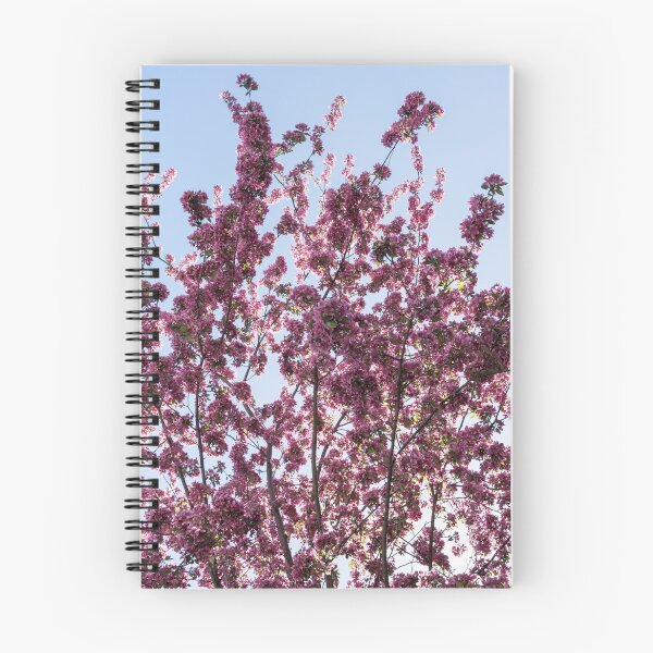 Item preview, Prairifire Crabapple Blossoms Against Clear Blue Sky designed and sold by Georgia Mizuleva.