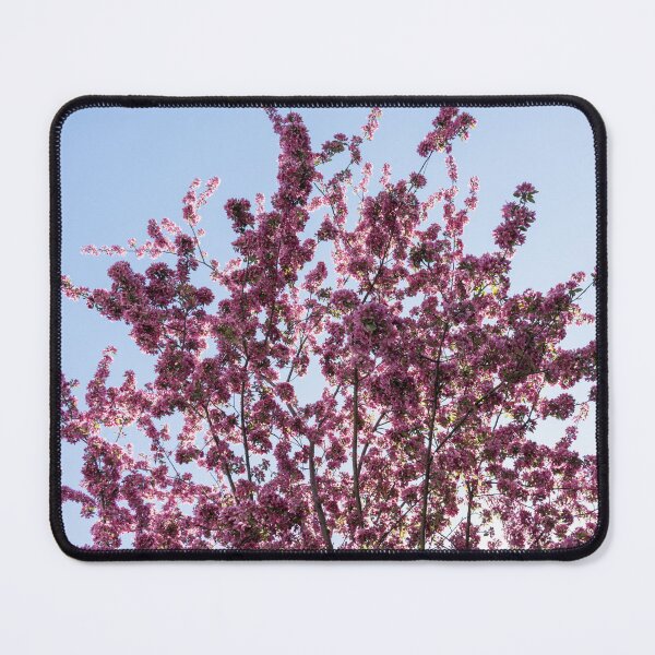 Item preview, Prairifire Crabapple Blossoms Against Clear Blue Sky designed and sold by Georgia Mizuleva.