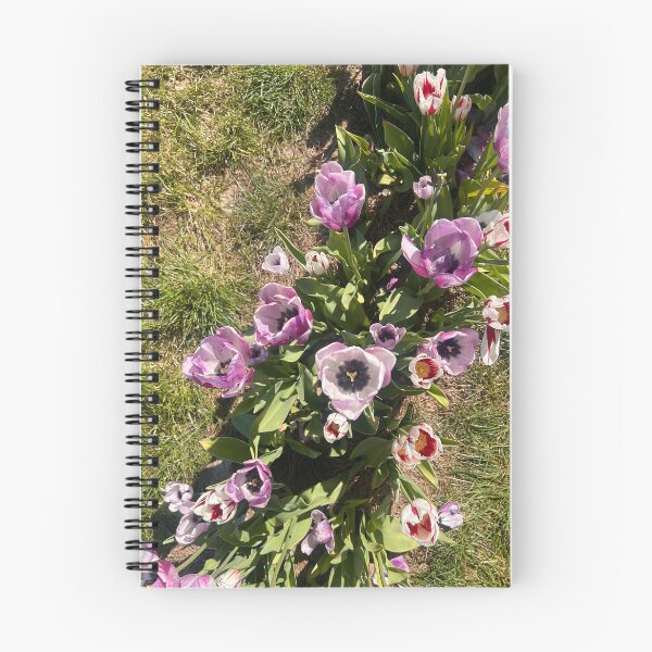 Item preview, Ariel view of tulips designed and sold by FindMebyTalia.