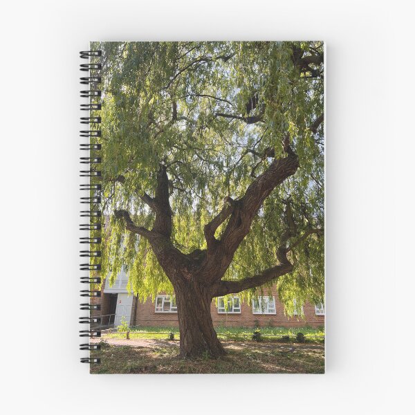 Item preview, A large tree designed and sold by FindMebyTalia.